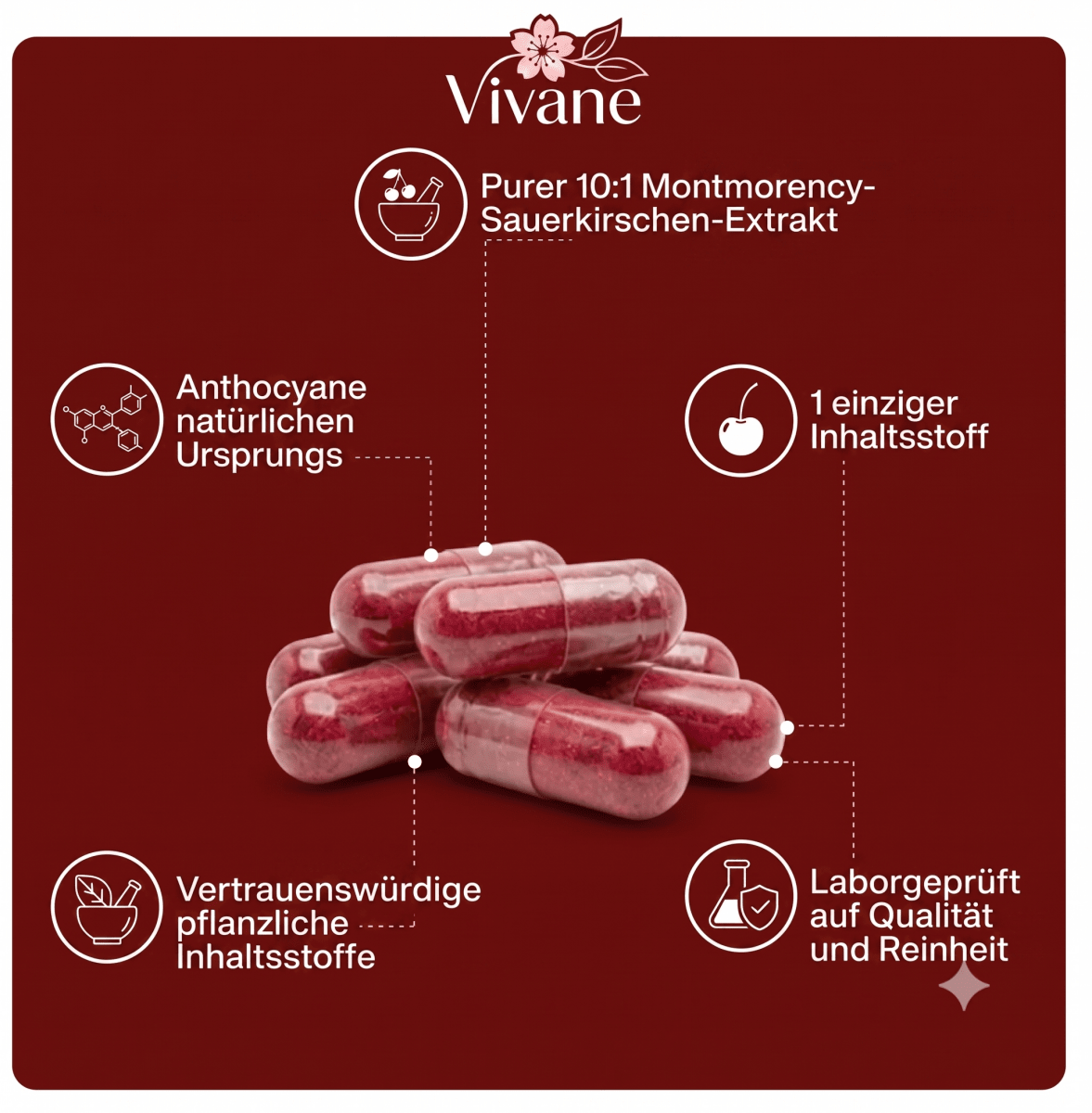 Vivane® Montmorency Sauerkirschen-Extrakt - VistasChiara